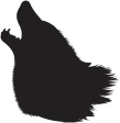 A wolfe’s head
