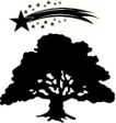 Elm tree and falling star